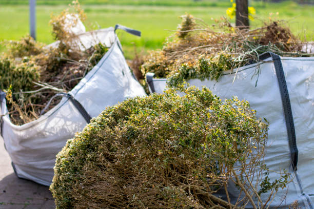 Best Basement Cleanout Services  in Mec, CA